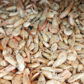 Camarón Acamaya Chico 1 KG