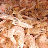 Camarón Promoción 1 KG