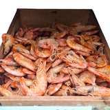 Camarón Sinaloa 1 KG