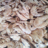 Sinaloa Mediano 1 KG