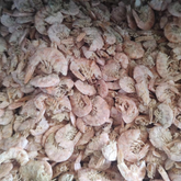 Nayarit Sin Cabeza 1 KG