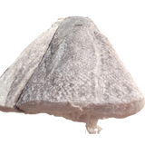Bacalao Noruego Langa Lomo Pieza 1 KG (Precio x Kilo)