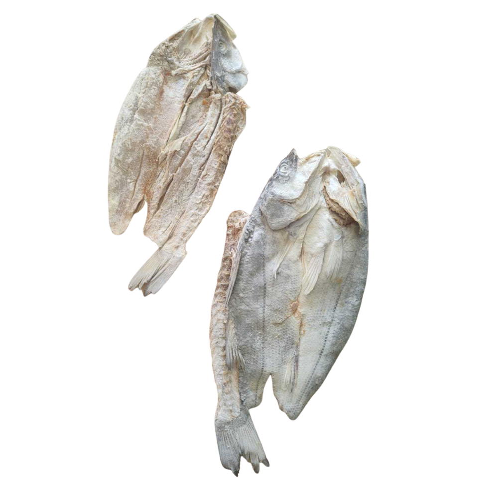 Robalo chico seco salado (Precio x Kilo)