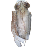 Robalo seco salado (Precio x Kilo)