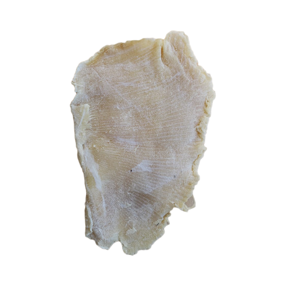 Mantarraya 1 KG