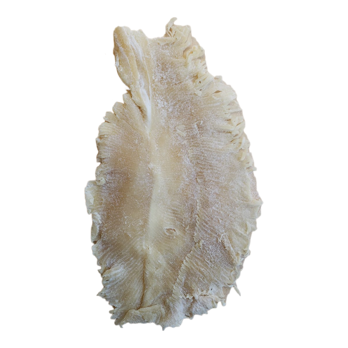 Mantarraya 1 KG